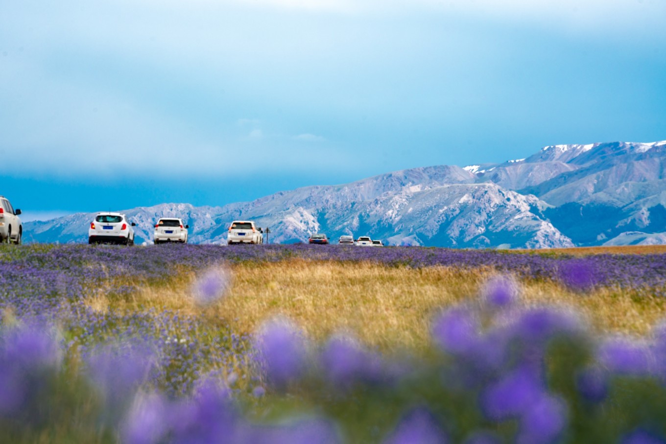 新疆伊犁之美,走了一圈才发现世界万物远不及你