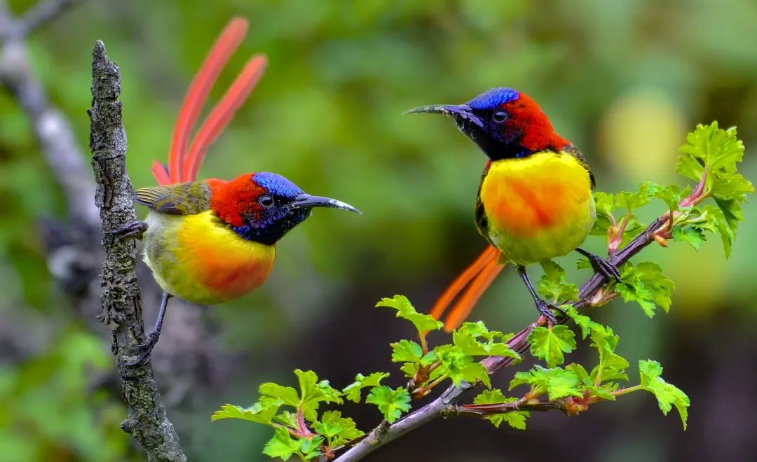 昆明七彩云南怎么样,七彩云南避暑家园