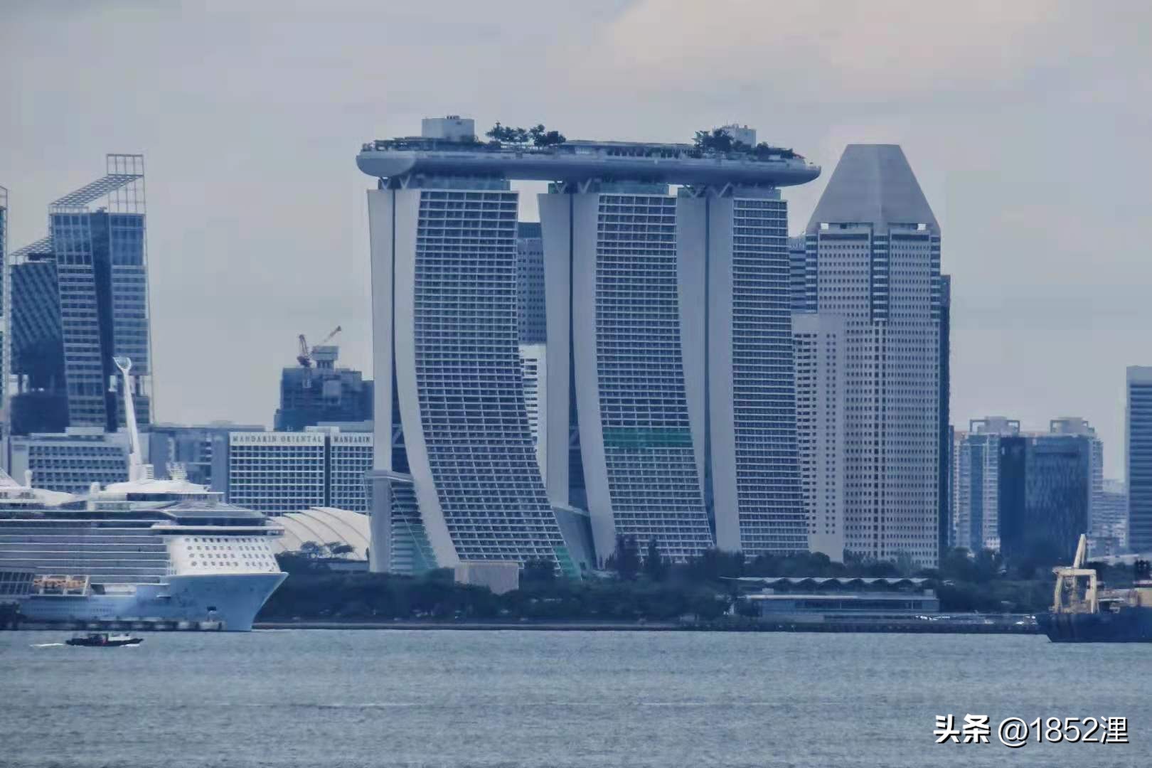 航运引航员,高级船舶引航员