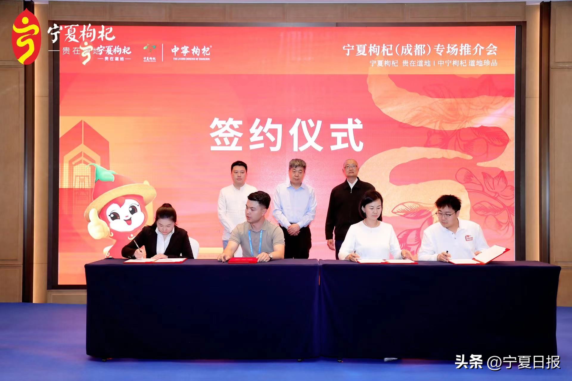 枸杞产业博览会塑造中宁枸杞品牌,2022年宁夏枸杞博览会