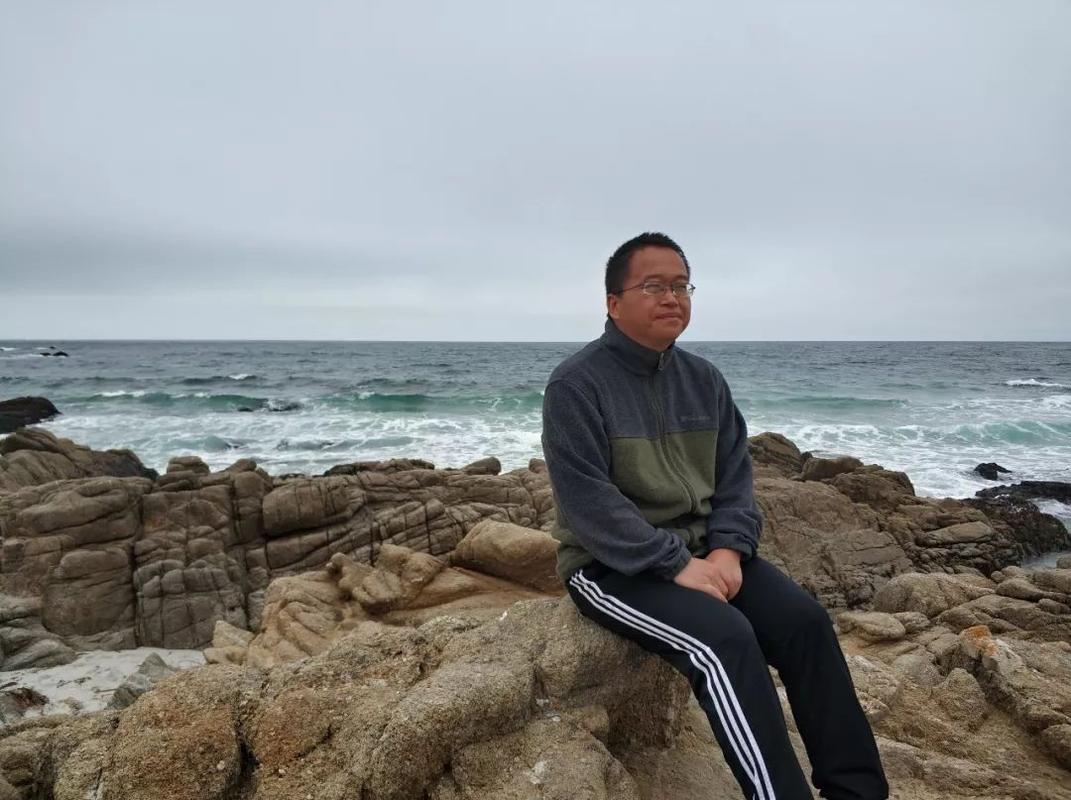 2015在美国诱捕的芯片专家,被美国诱捕的芯片专家有哪些