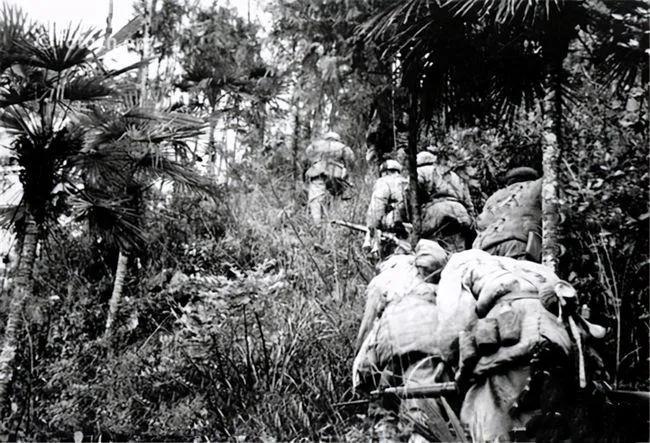 张寡妇的故事,张寡妇怎么成为悍匪的