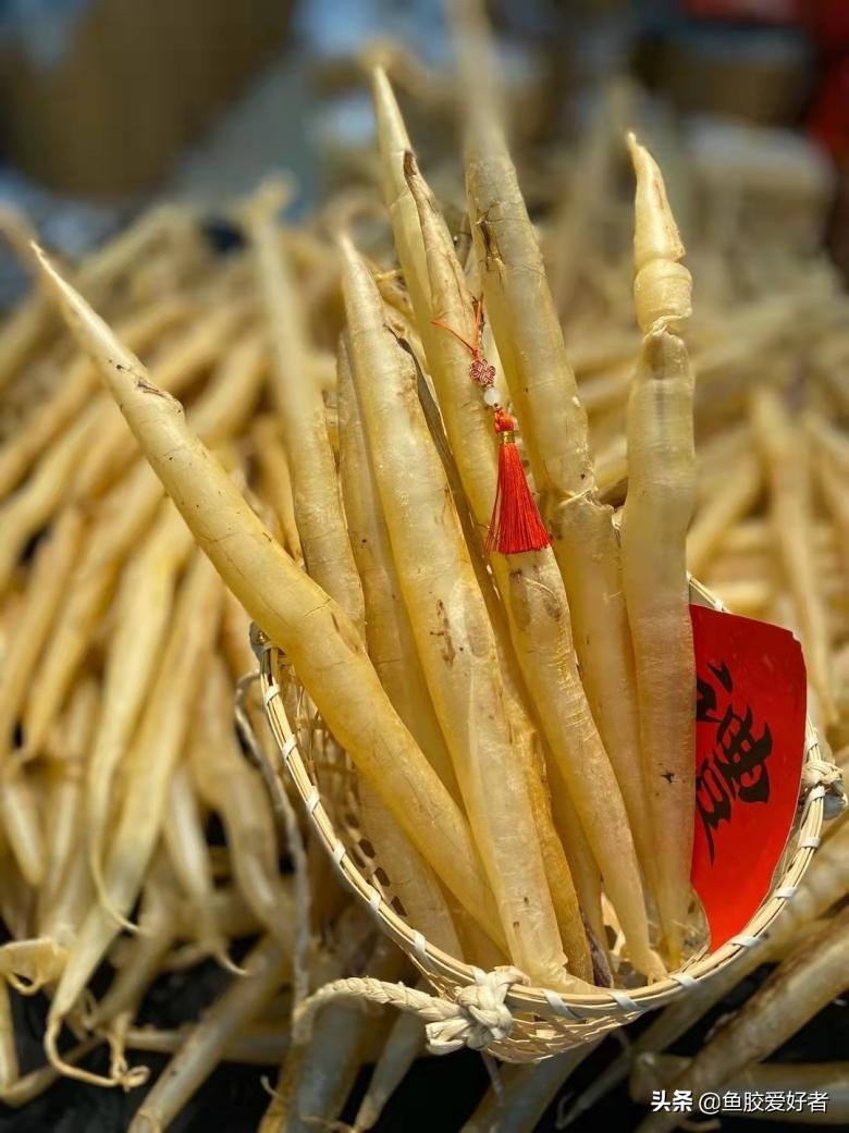 鳗鱼胶有什么由来,鳗鱼胶怎样辨别野生和非野生的