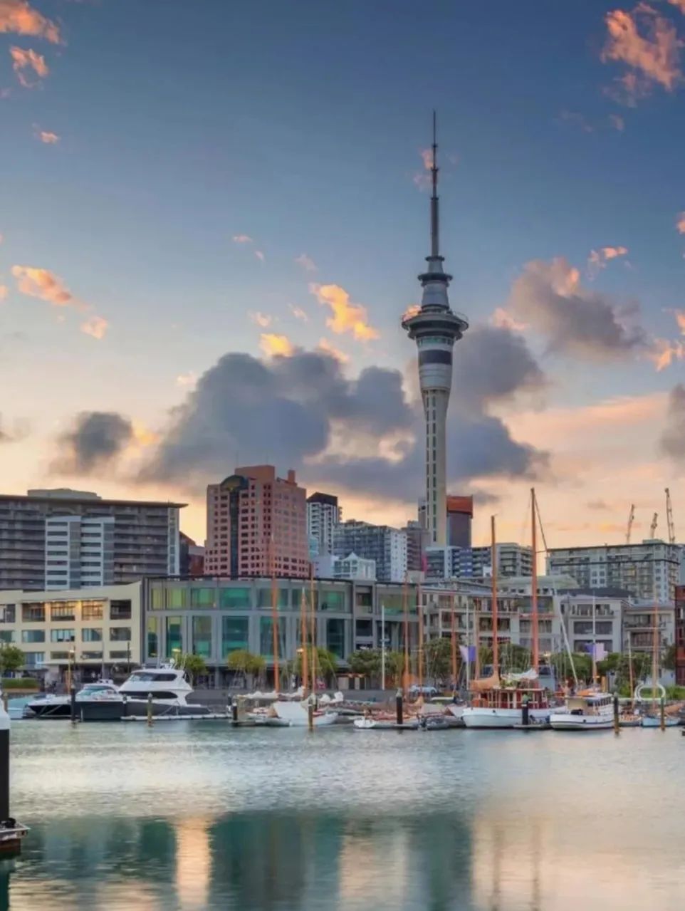 23岁Nyree在新西兰：异国兼职遇暖意，实现水果海鲜自由