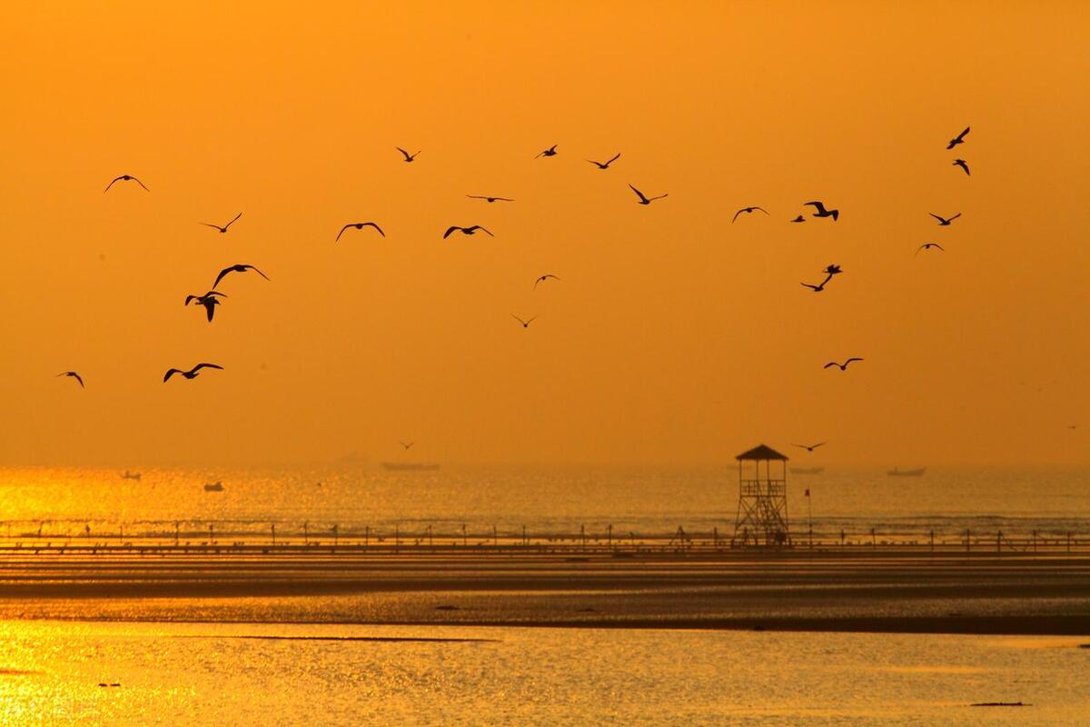 喜欢美景去哪玩,喜欢海边美景释放心情