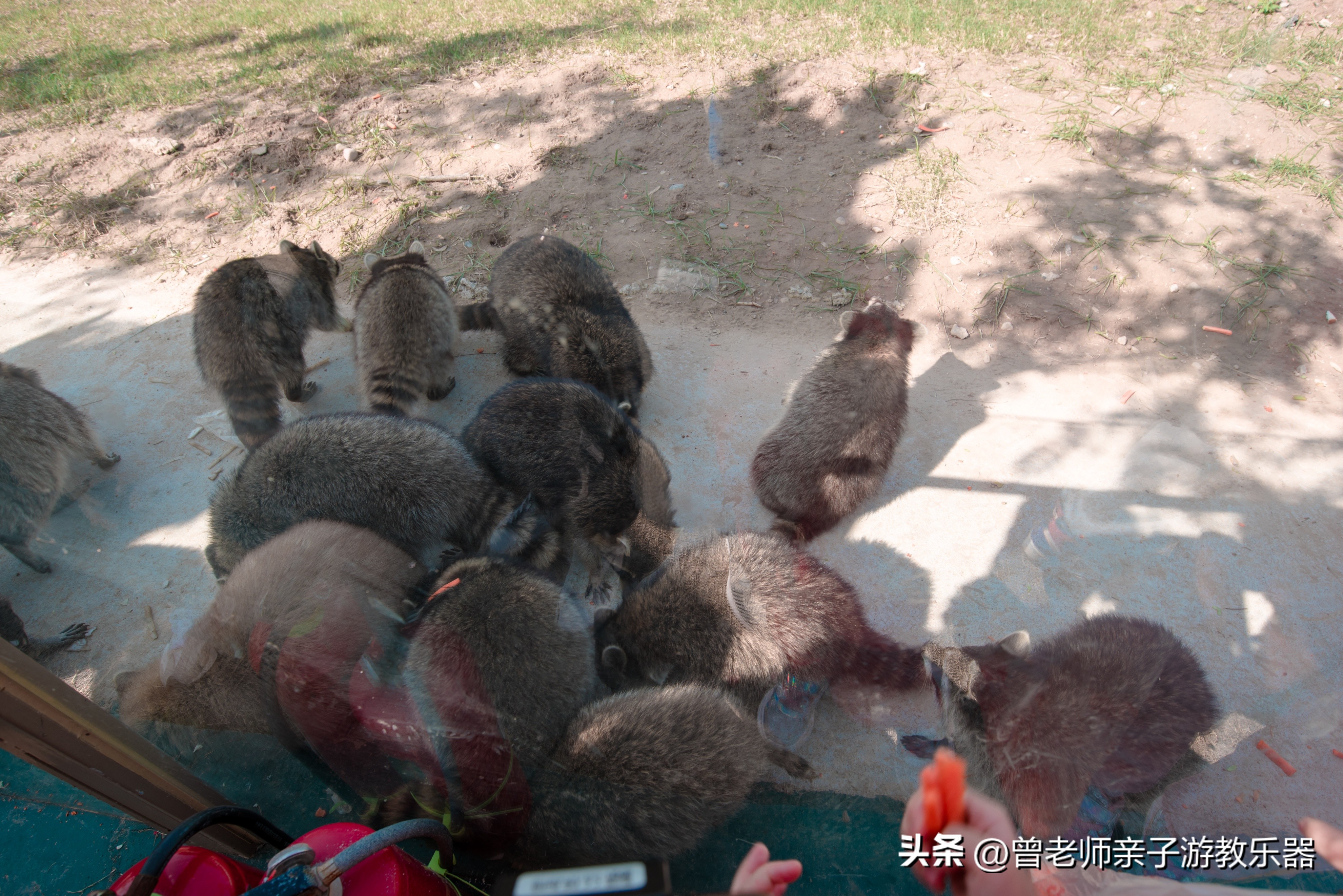 西安出发自驾亲子游,西安亲子游十大排名