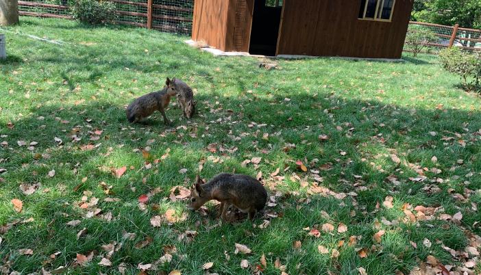 苏州最美的沙滩,苏州打卡景点粉色沙滩