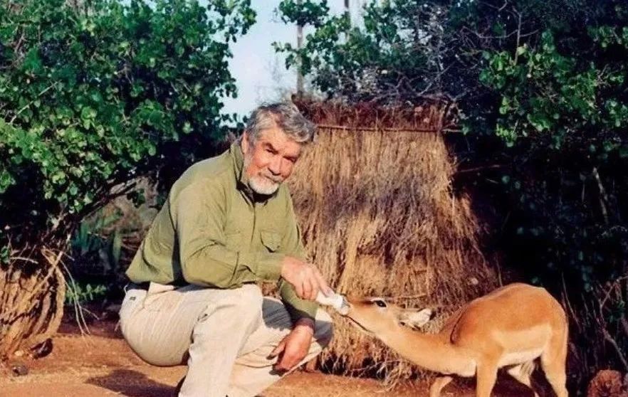 卡扎尼绿沙弗莱价格多少一克拉,沙弗莱卡扎尼绿项链