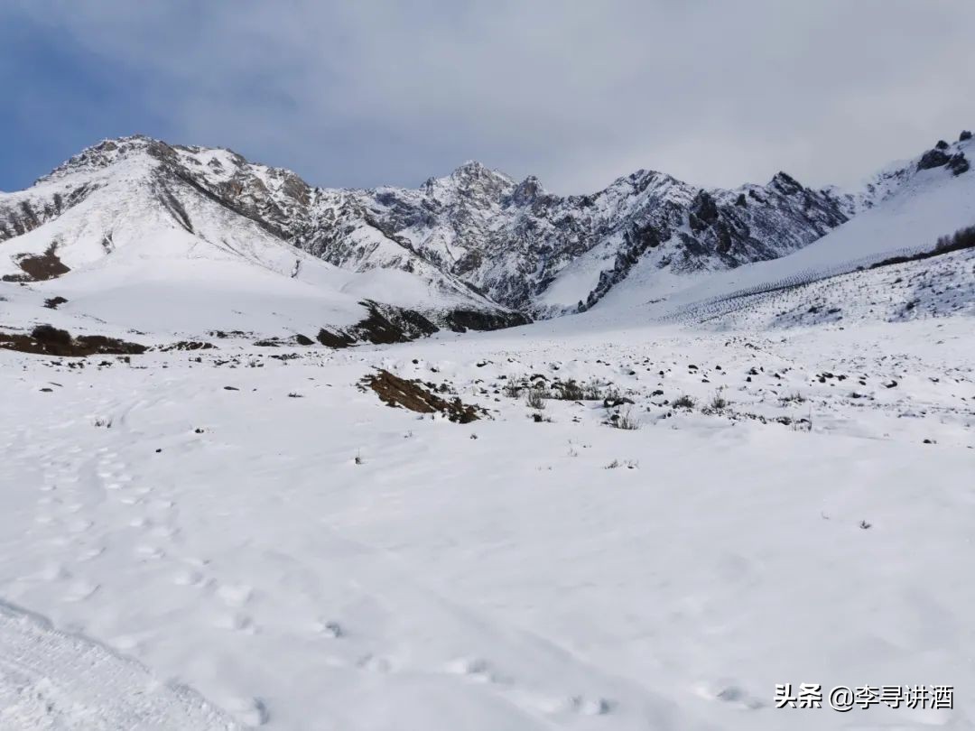 品酒记,品酒笔记图片大全