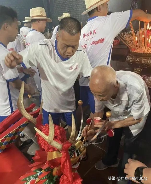 广州多区“睇龙船”超全指南,广东“睇龙船”指南来了