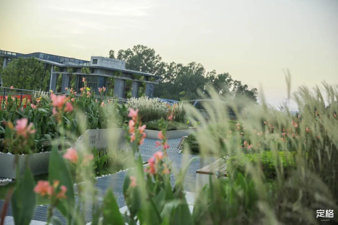 深圳免费好玩的滑梯推荐,深圳摩天滑梯