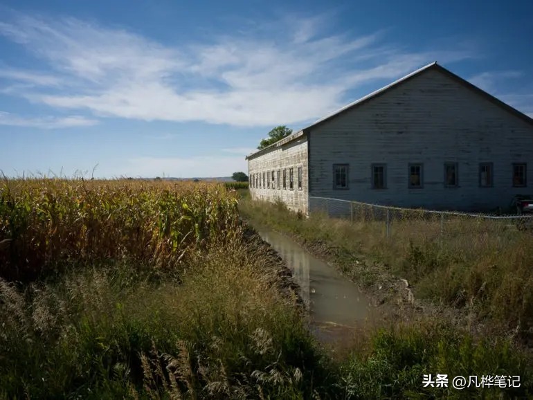 哈苏x2d100c视频,哈苏x2d100c与50c区别