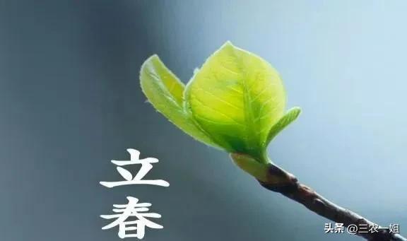 双春闰二月三人要躲春是什么意思,立春躲春是什么时候的习俗