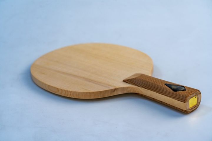 初学乒乓球基本功用什么底板好,初学者练手感的乒乓底板有哪些