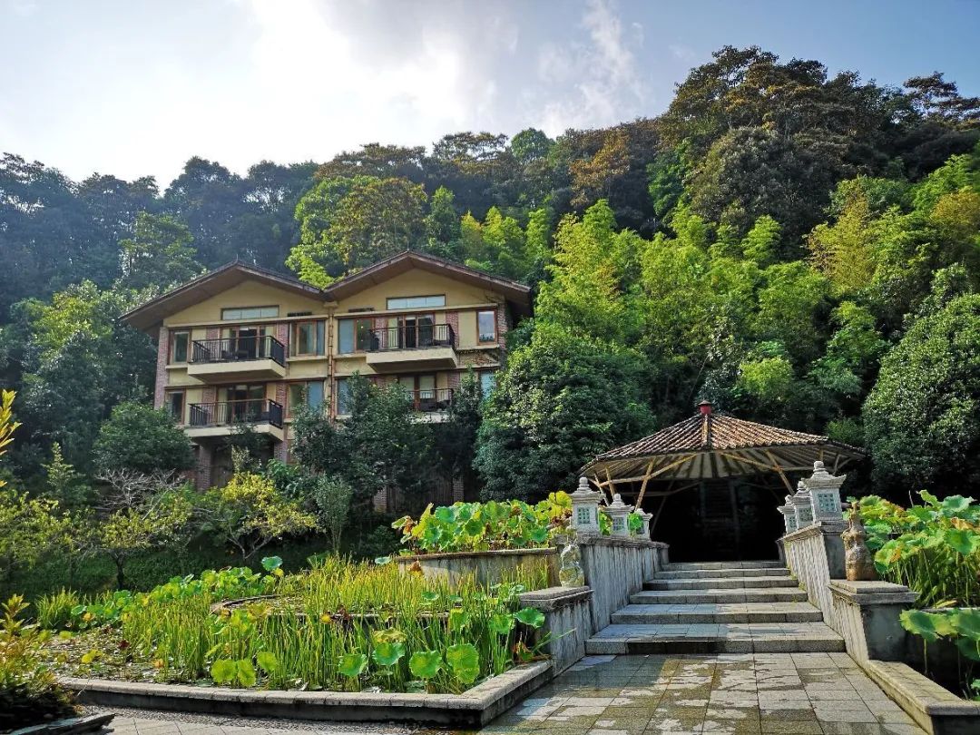 惠州十字生态度假村效果图,惠州市十字水生态度假区