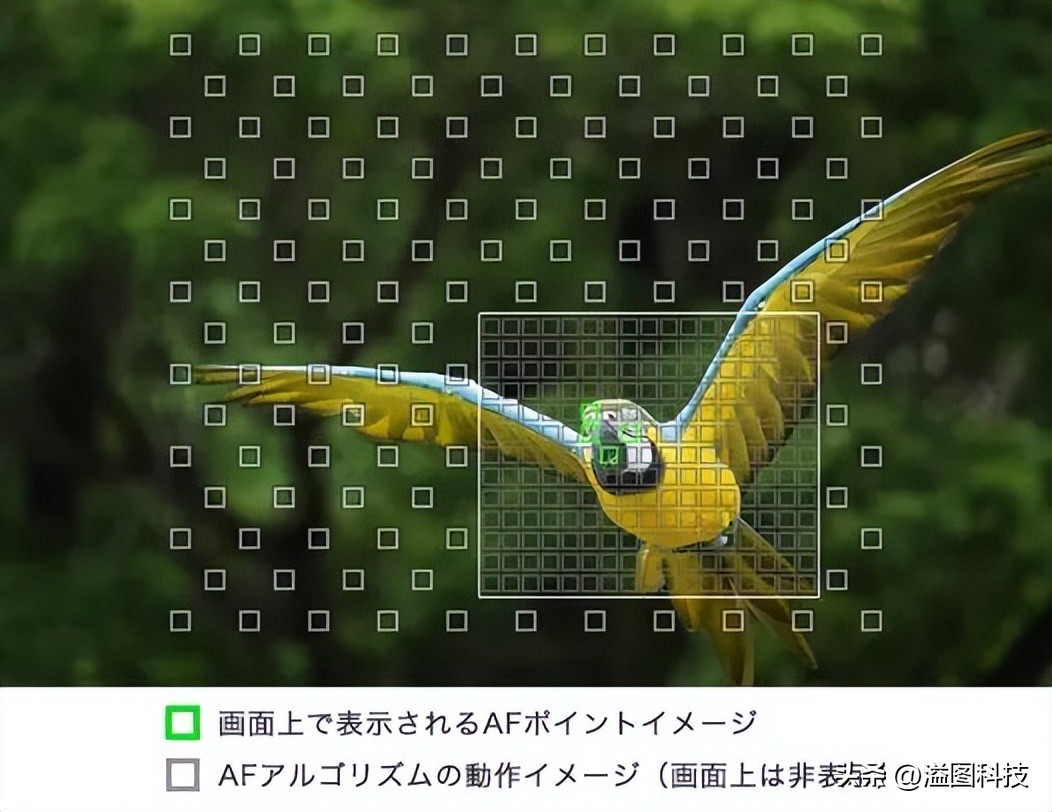 黑卡数码相机推荐,能和黑卡媲美的数码相机