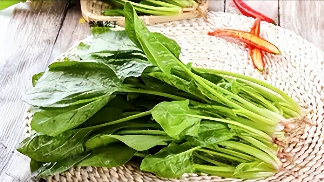 养肝护肝的蔬菜和食物有哪些,护肝养肝的水果蔬菜是哪些