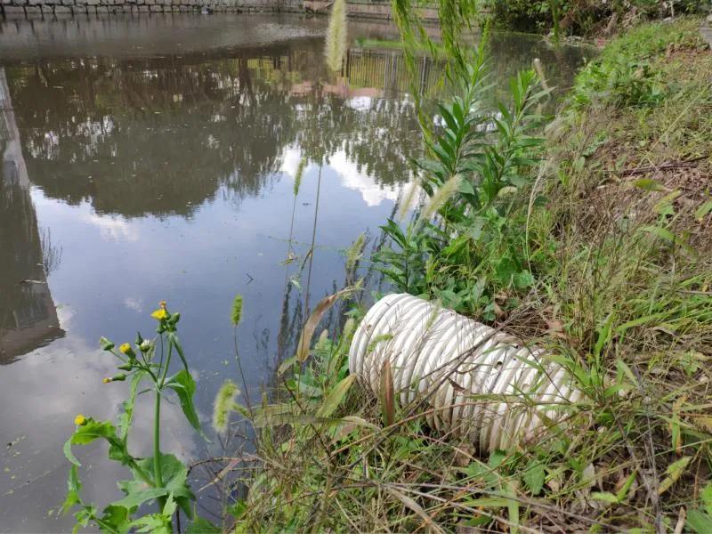 老祖宗为什么害怕五月？五月出生的孩子有什么说法？有道理吗？