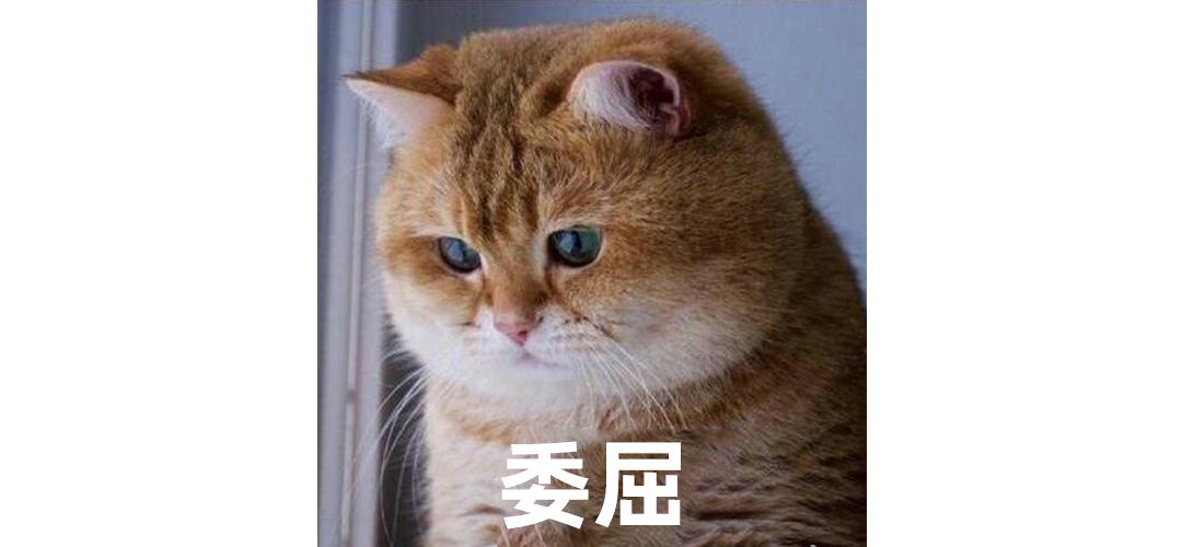 纯福猫砂甲醛超标,猫砂甲醛排名前十