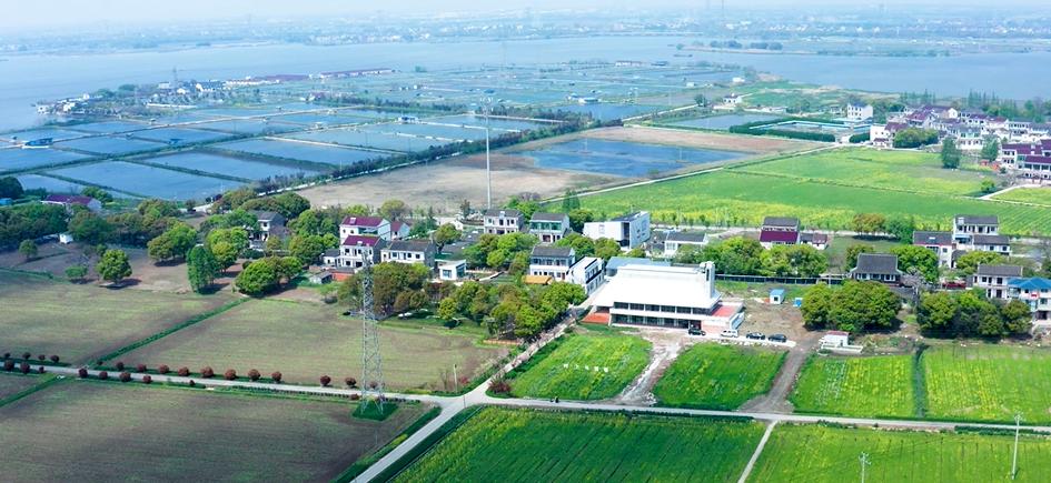 解析全国16个整村运营,解码全国16个整村运营经典案例