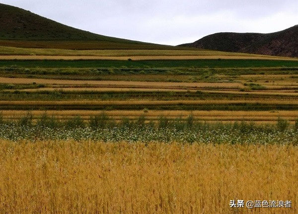 内蒙古低于十万人口的县,内蒙古人口最多的县是