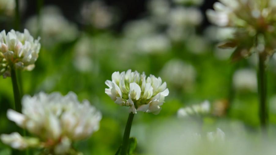 亲戚之间不能做的八件事,亲戚结仇