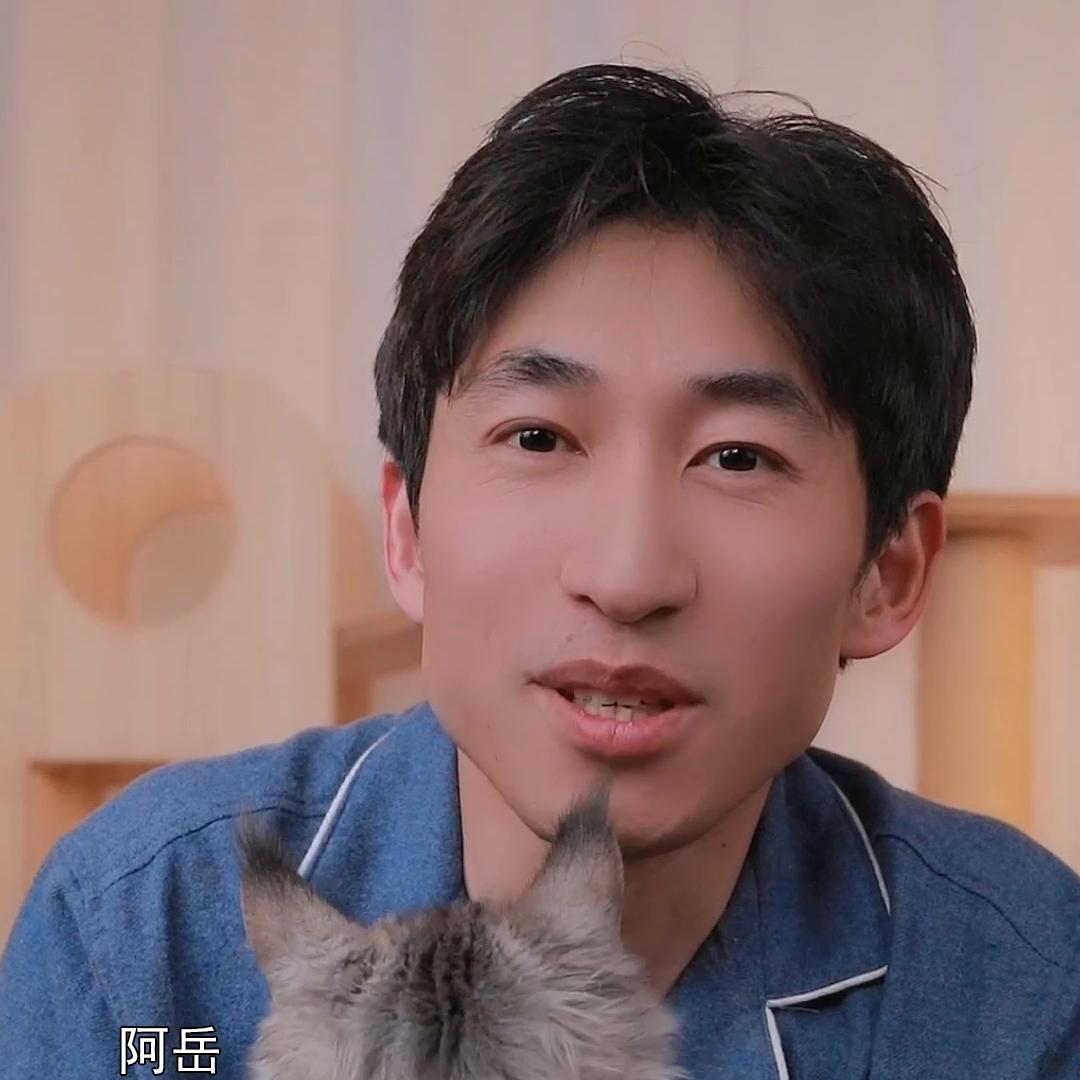 养缅因必备营养品,缅因猫家中常备药