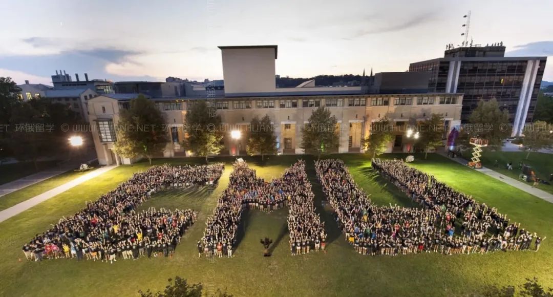 顶流专业有哪些,工科顶流专业
