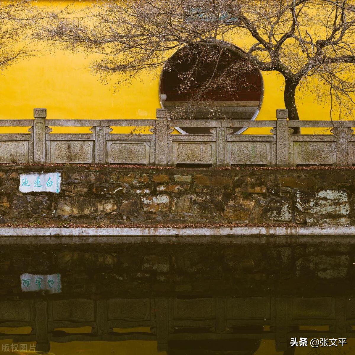 一碗正宗的蕈油面等你来品尝,全上海难觅的蕈油面