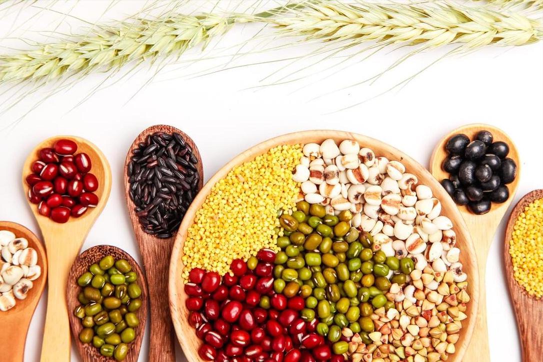 老年人多吃五种高蛋白食物,中老年人常吃高蛋白