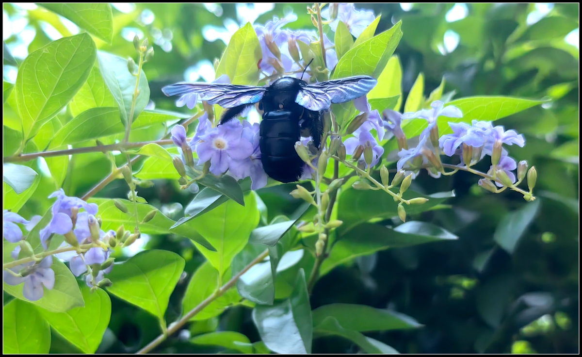 古人劝学诗句大全,古人的劝学诗有哪些