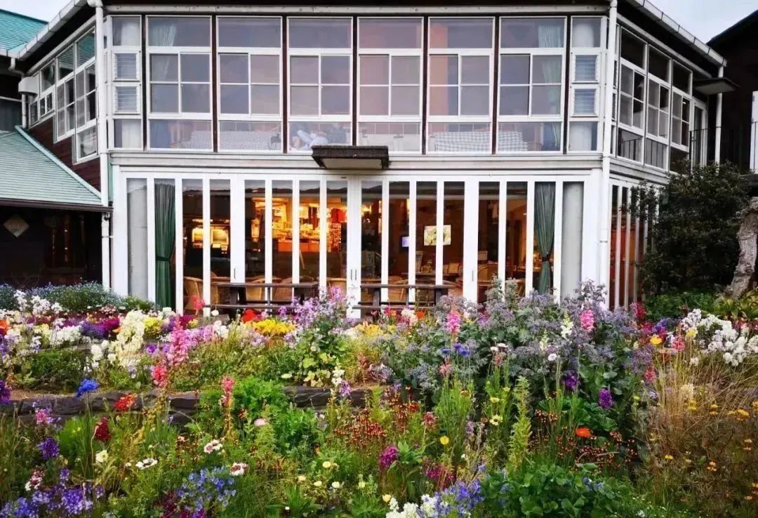 乡村振兴36个案例,谈一谈对乡村产业振兴的看法