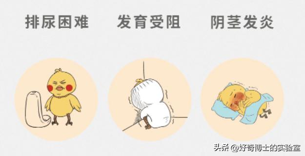 包皮割了和没割看起来有区别吗,男性一定要割包皮吗