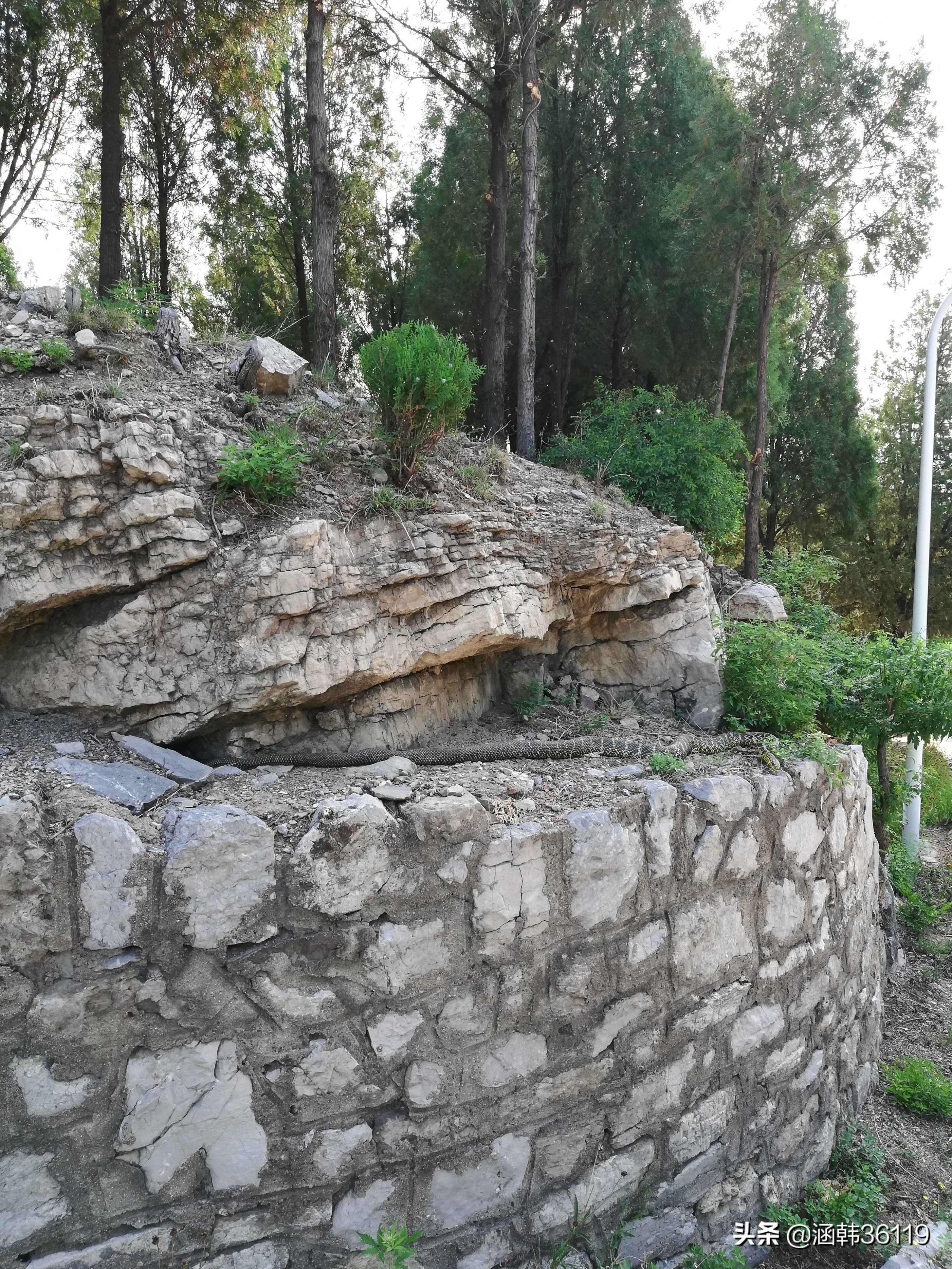 淄博市原山国家森林公园,大王蛇风景区