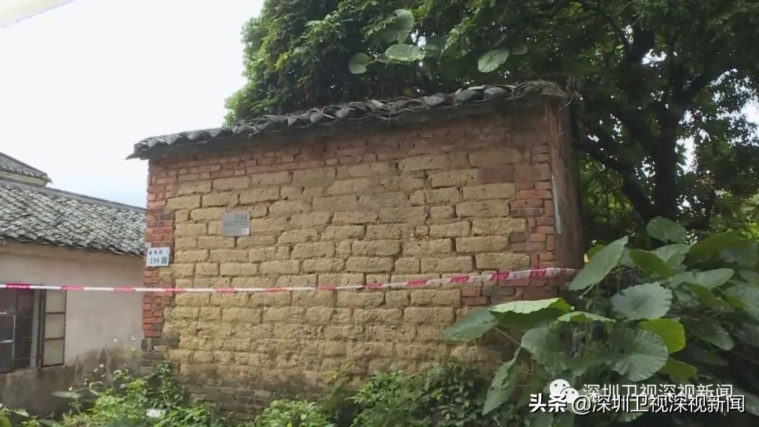 深圳强降雨后现状,深圳积极应对极端强降雨