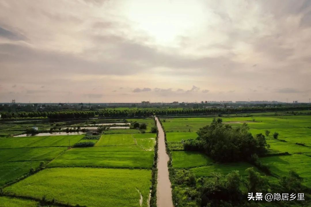 我为什么要在乡村开店——写给楚楚咖啡馆