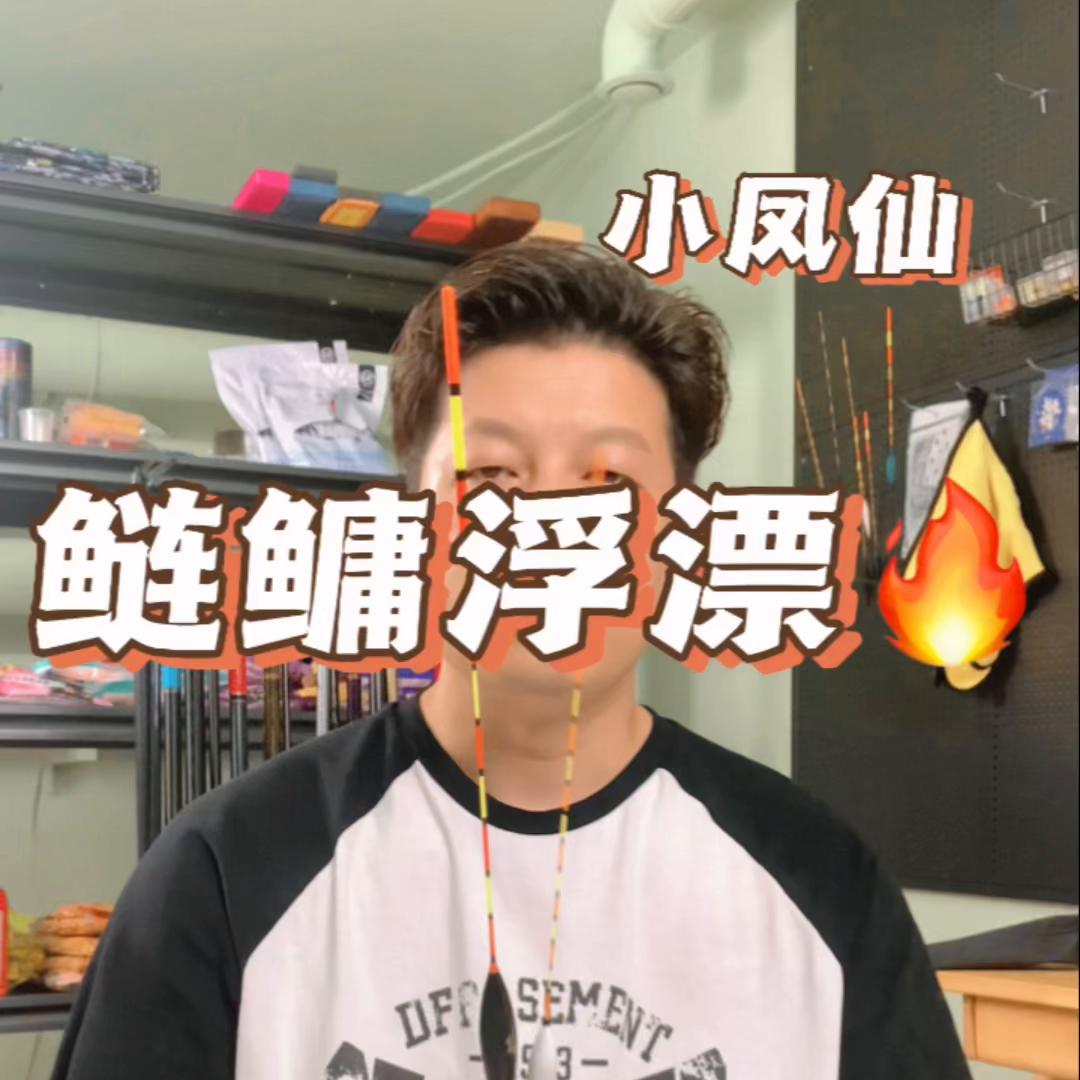 夜钓鲢鳙浮漂推荐品牌,鲢鳙浮漂小凤仙