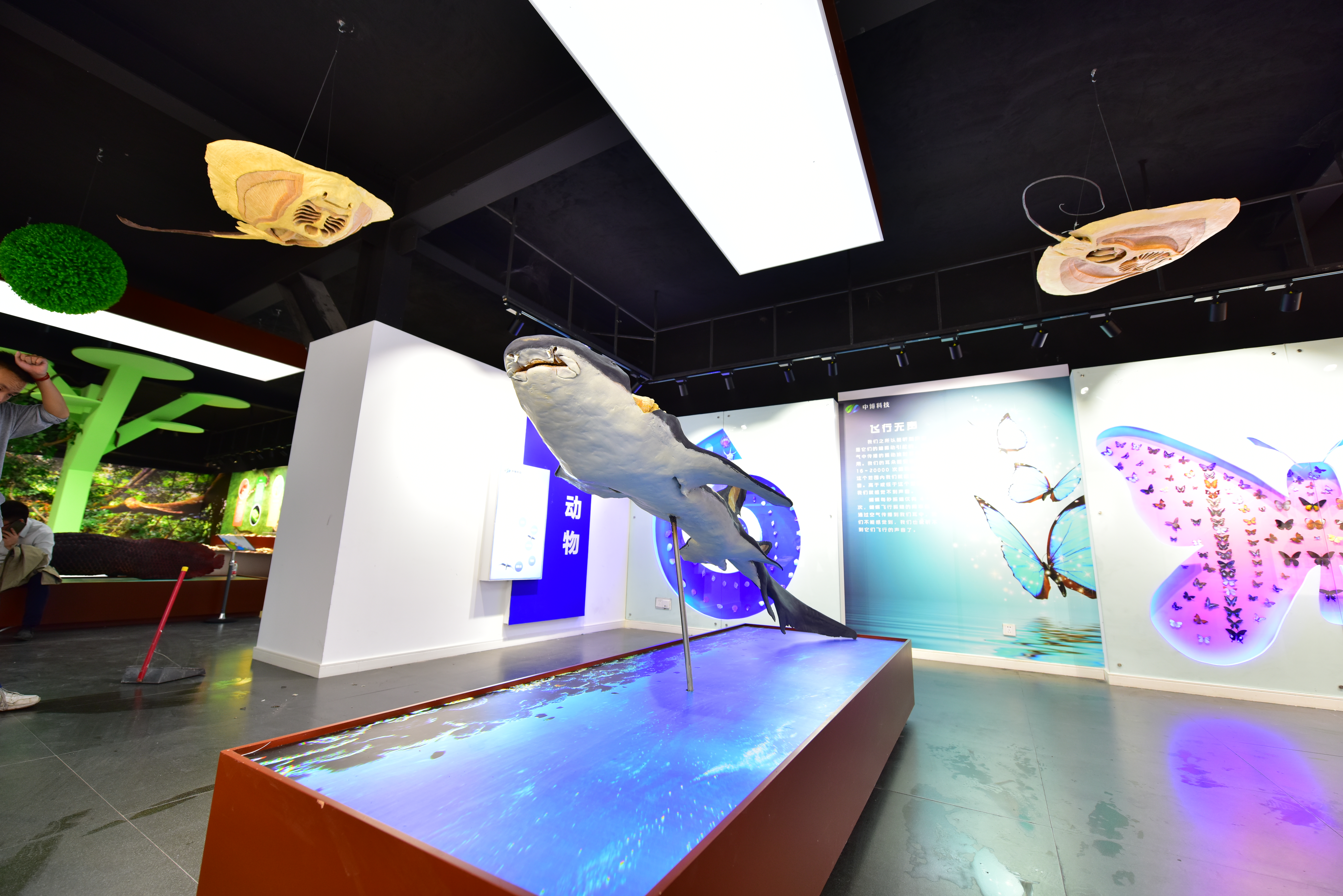 郑州周边遛娃游玩推荐景点有哪些,郑州周末遛娃好去处一日游