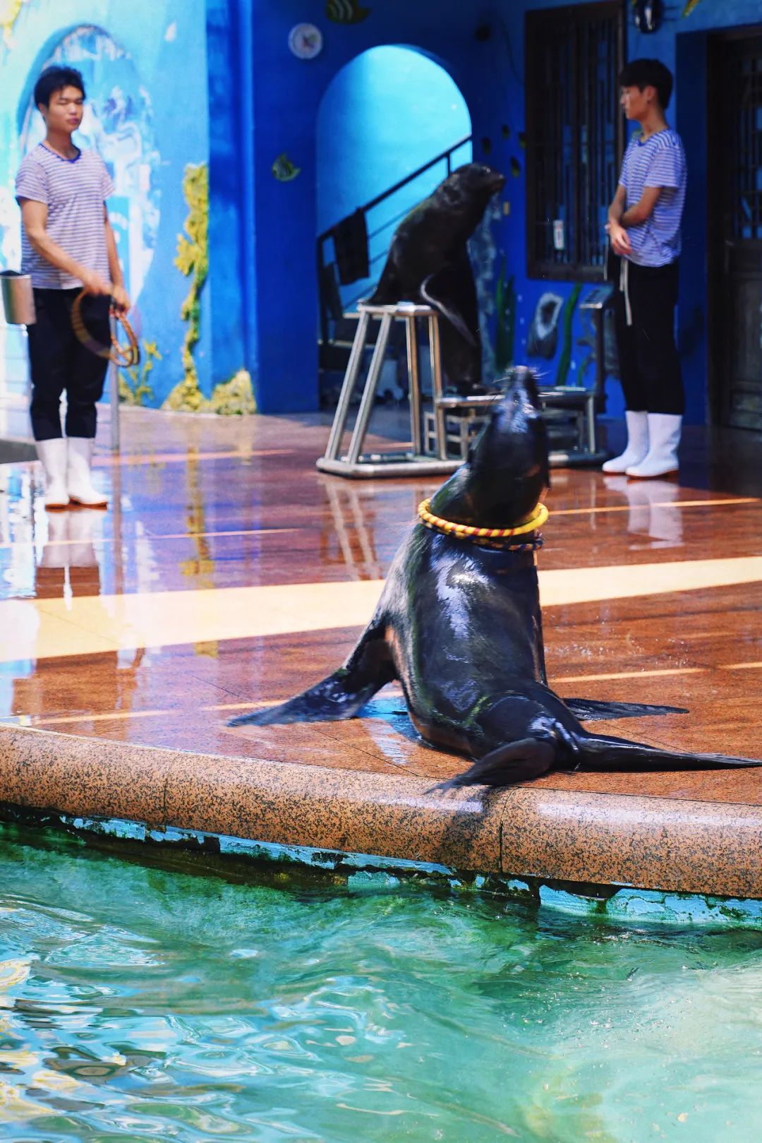 安吉亲子旅游必去的景点,安吉最新亲子旅游度假