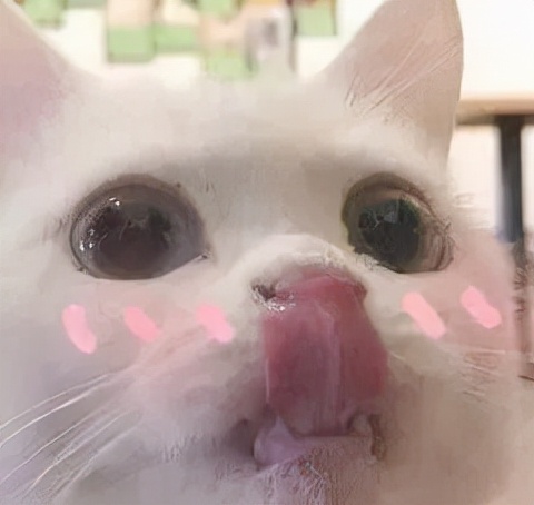 减肥逆袭瘦了50斤,靠减肥能瘦40斤么