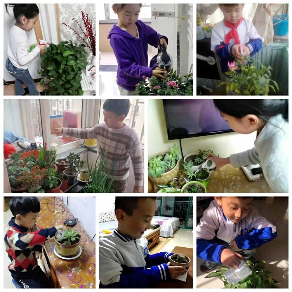 青岛城阳区古庙小学,城阳正阳路小学和古庙小学哪个好