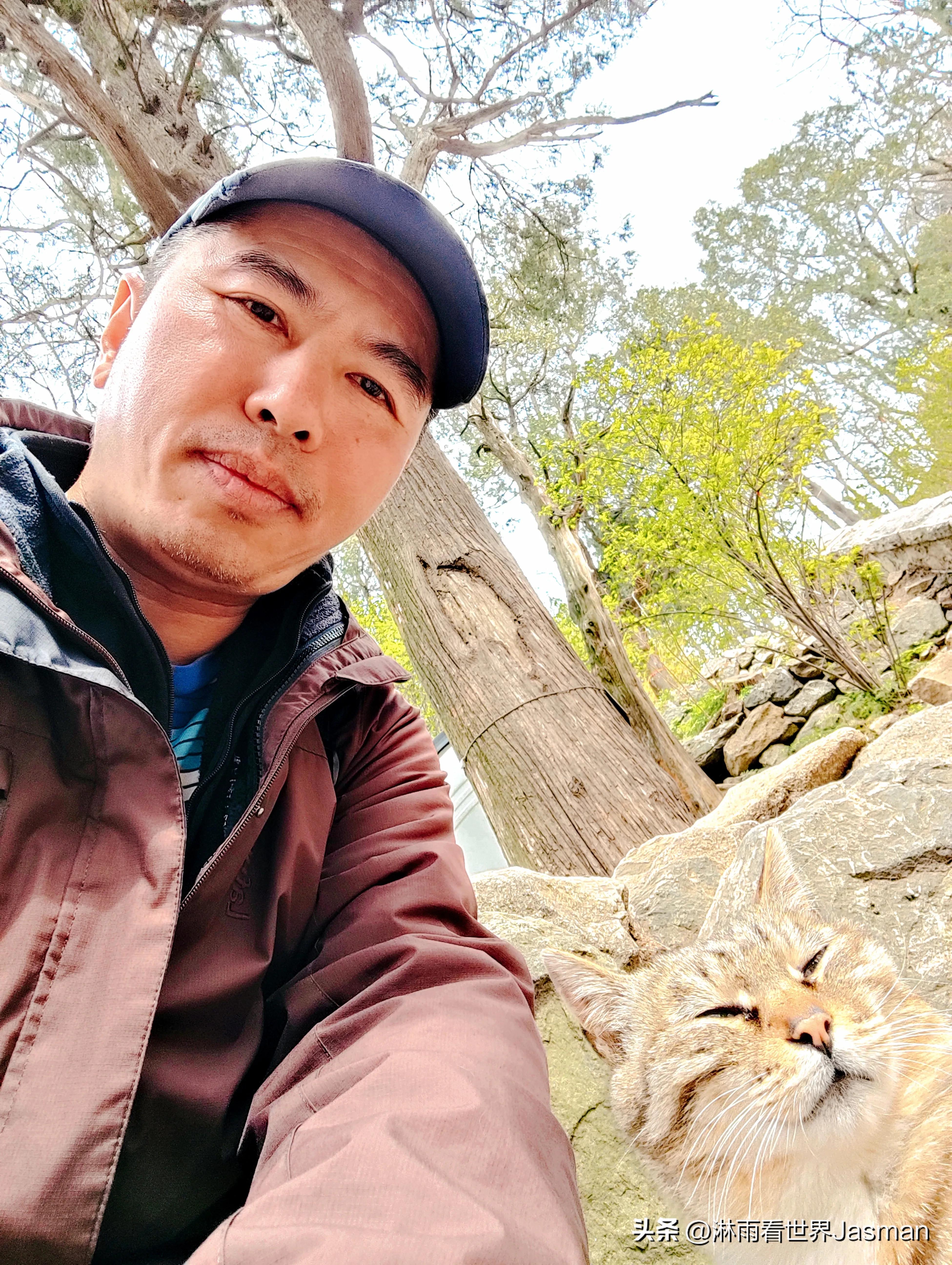 东岳泰山旅游详细攻略,五岳之尊东岳泰山旅游