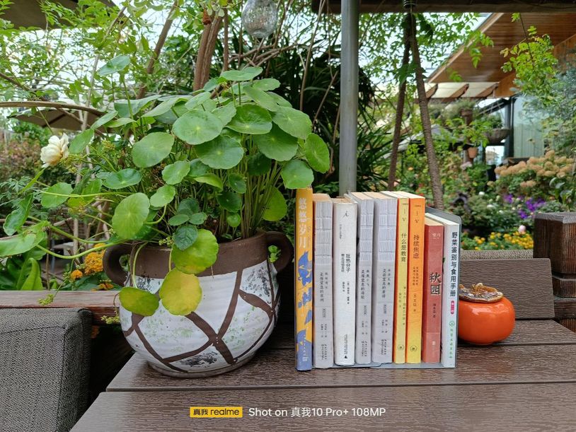 真我10pro手机曲面屏,真我10pro曲面屏评测