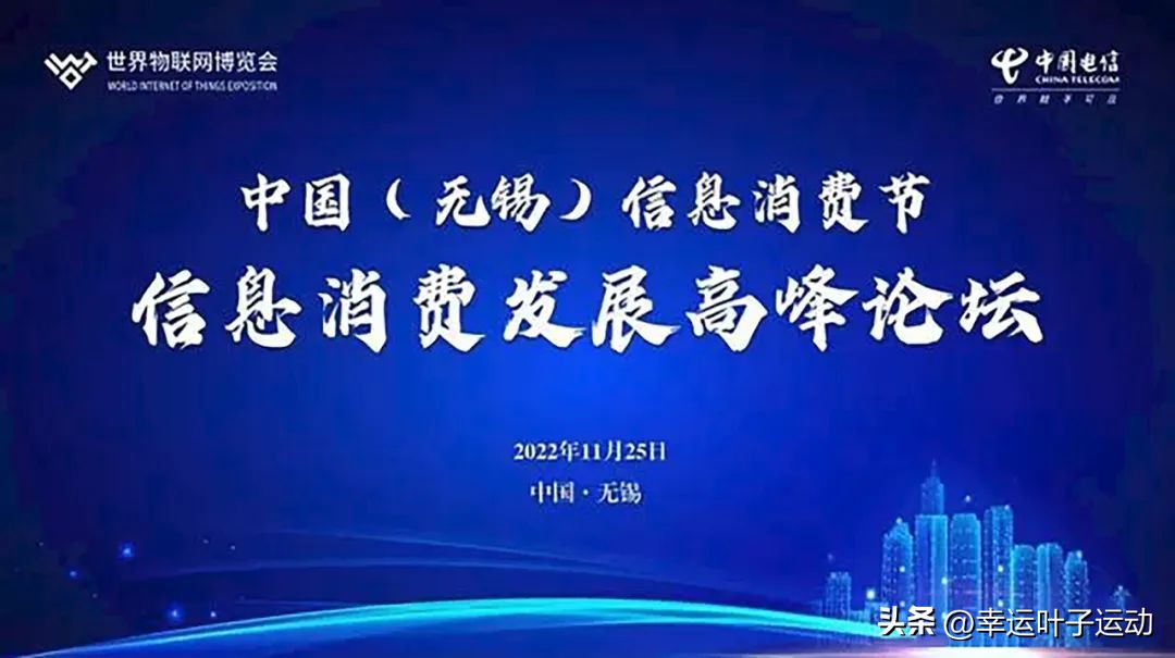 幸运叶子旗舰店卖的为什么便宜,江苏幸运叶子网络科技有限公司