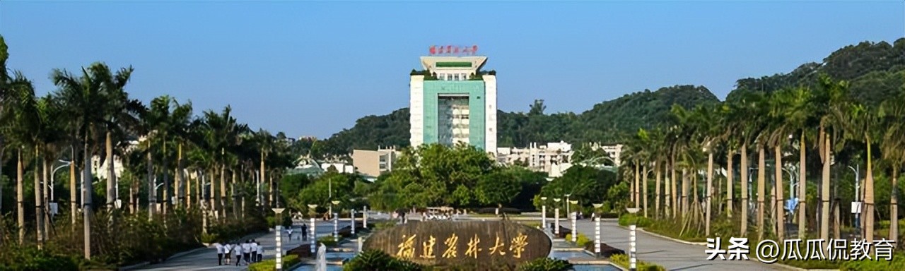 福建全省排名多少能上厦大,厦大高校排名