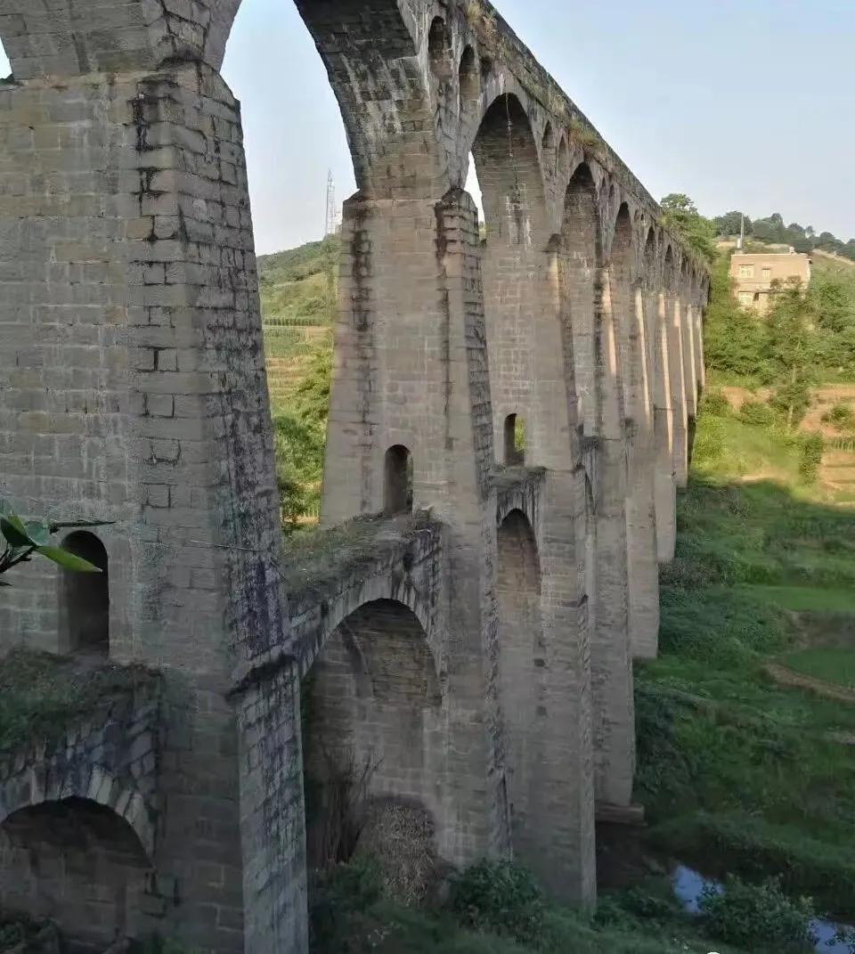 永川仙龙油菜花基地,仙龙油菜花节