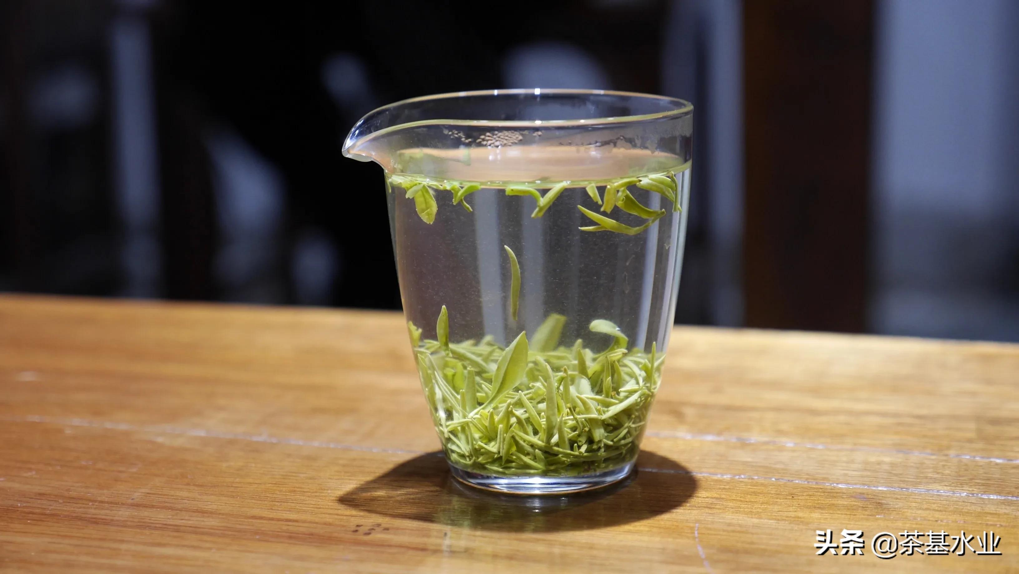 信阳黑龙潭毛尖原产地在什么地方,信阳毛尖协会和商会