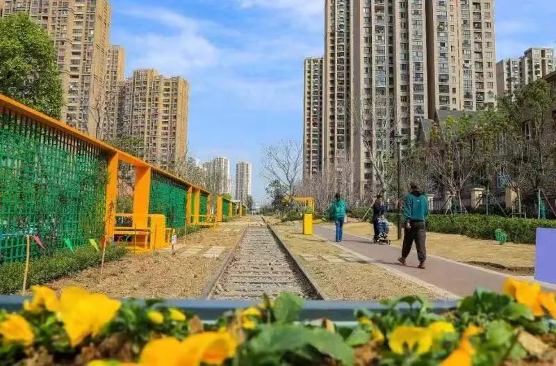 合肥周边五一好去处,合肥五一游玩攻略小孩