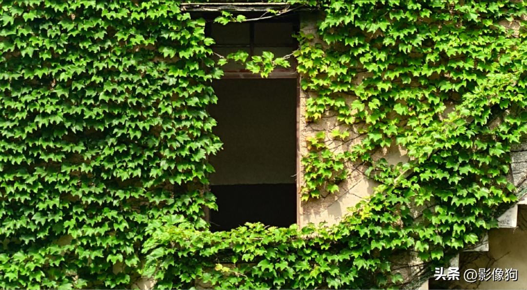 索尼xperia1v视频测评,索尼xperia1v深度测评