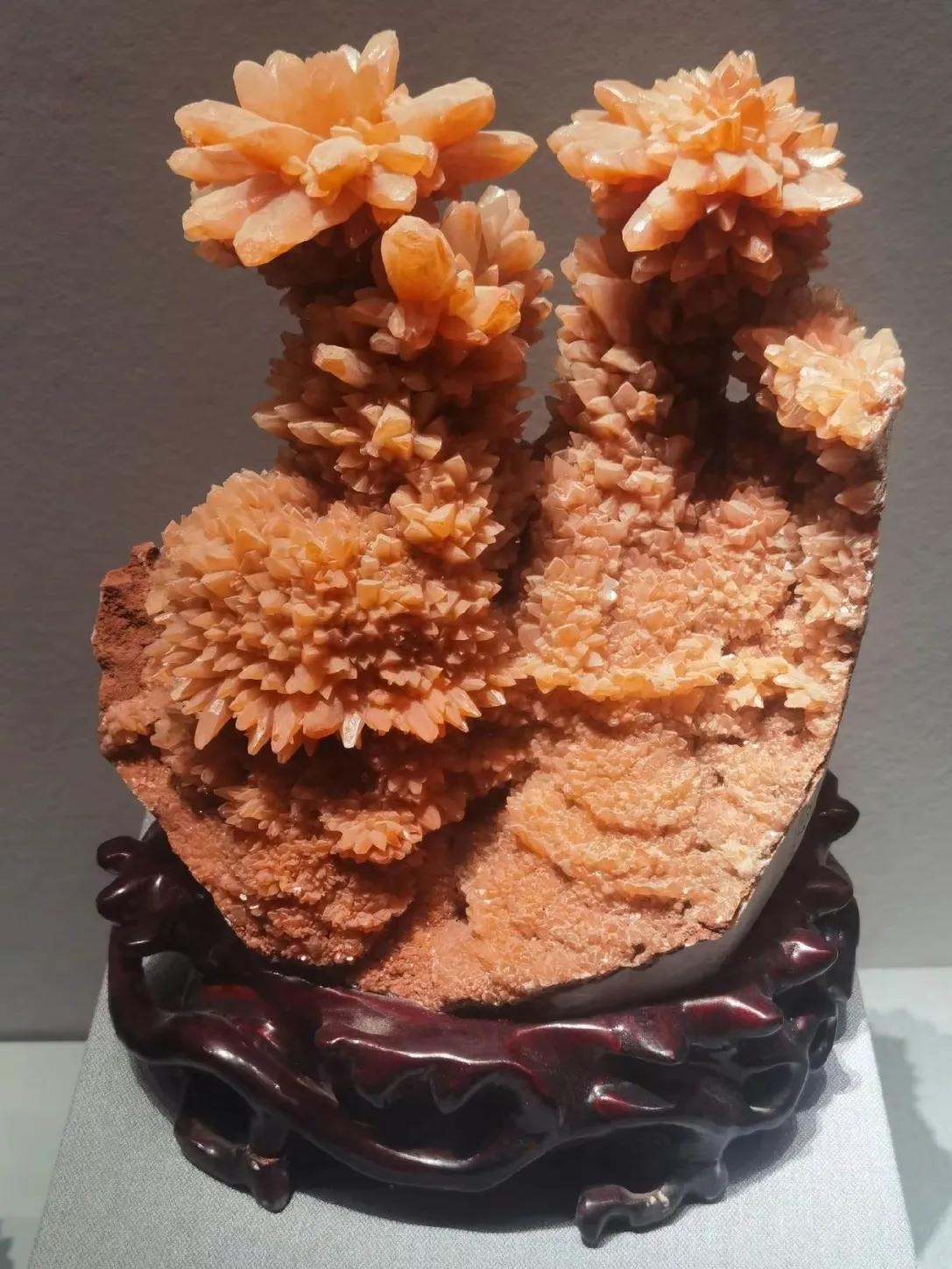 中国地质博物馆藏宝图,国家地质博物馆藏品